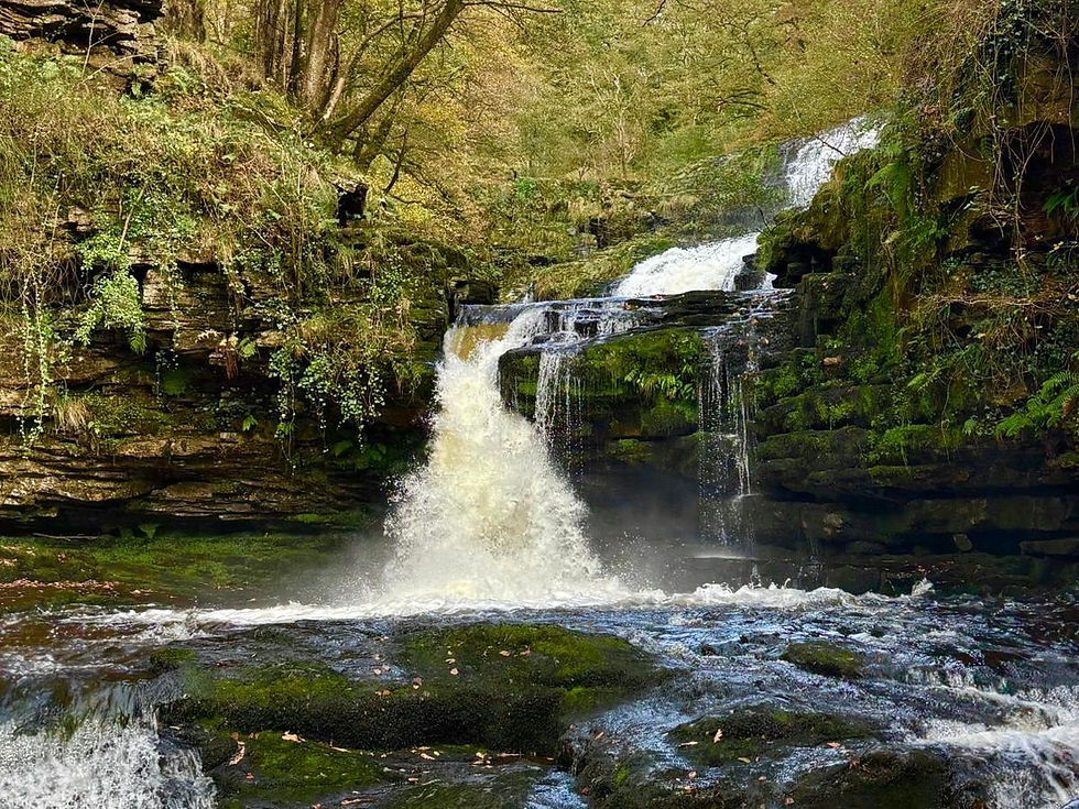 Why Do We Feel More Human in Nature?