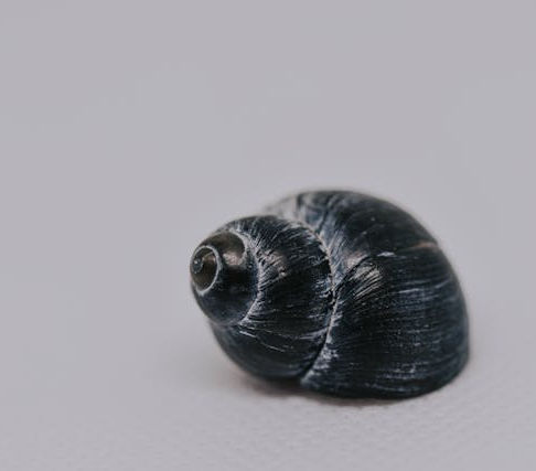 Convicted by a Computer? AI in the Legal Sector