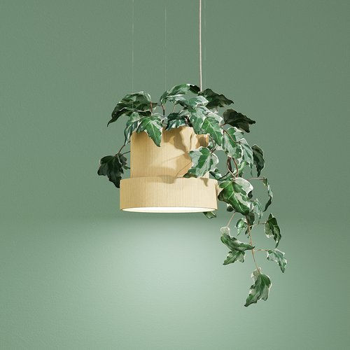 サムネイル： EVY