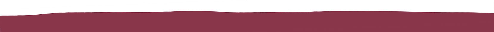 Bande-Header-3.2.jpg