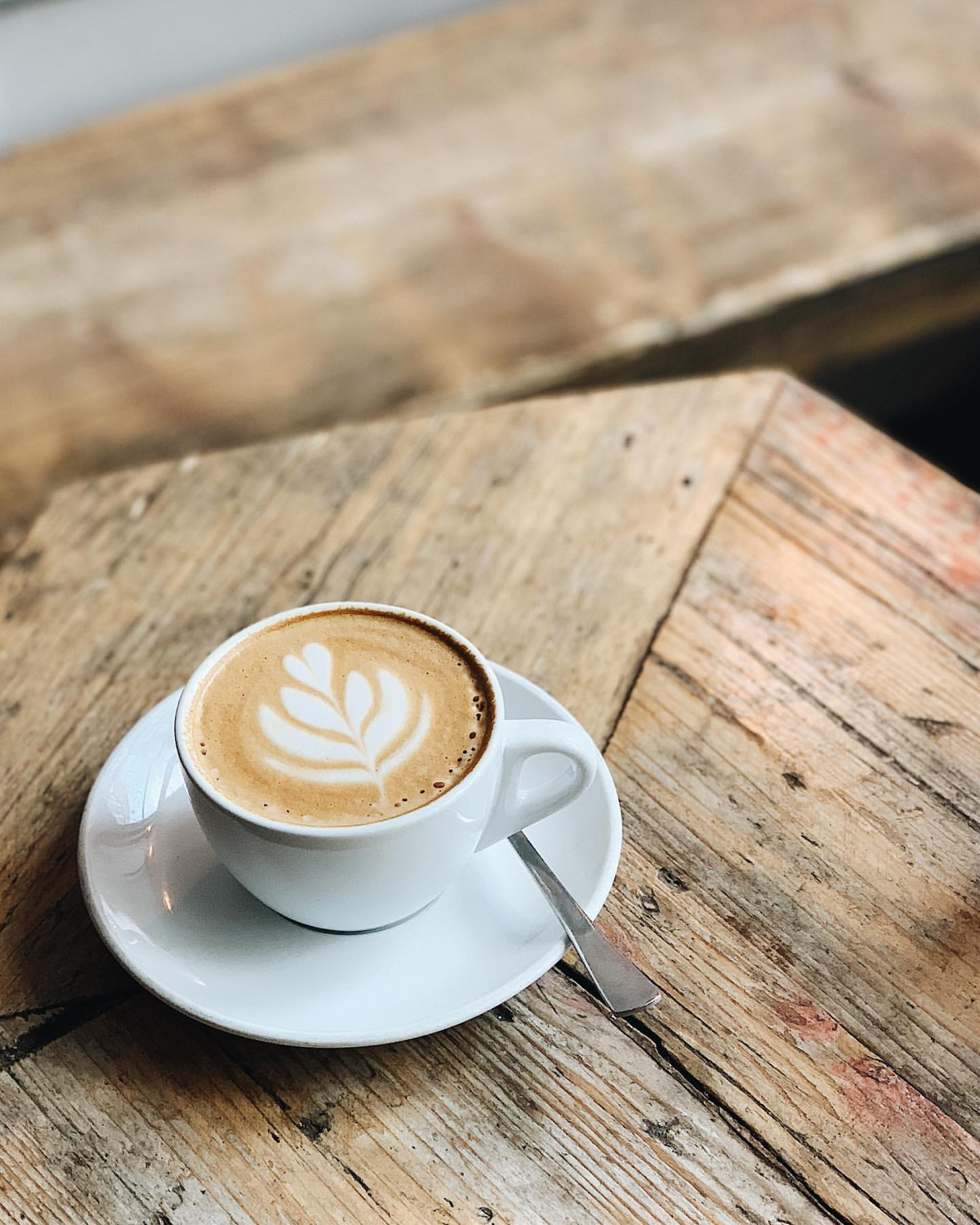 Kaffeeklatsch am See