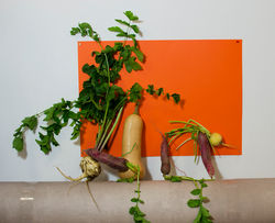 les_légumes_se_mettent_en_scène