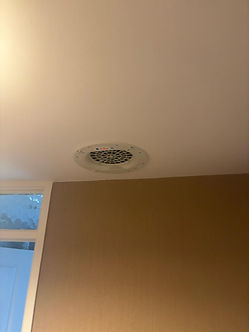 WhatsApp Image 2024-02-28 at 12.51.26_41b9abaf.jpg