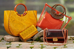 Cato FW24 - Novelty Elements