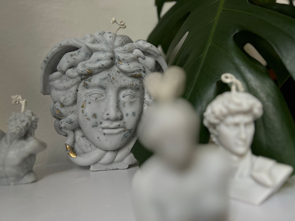 Прев'ю: ВЕЛИКА АРОМАТИЗОВАНА СВІЧКА MEDUSA КОКОСОВИЙ СОЄВИЙ ВІСК