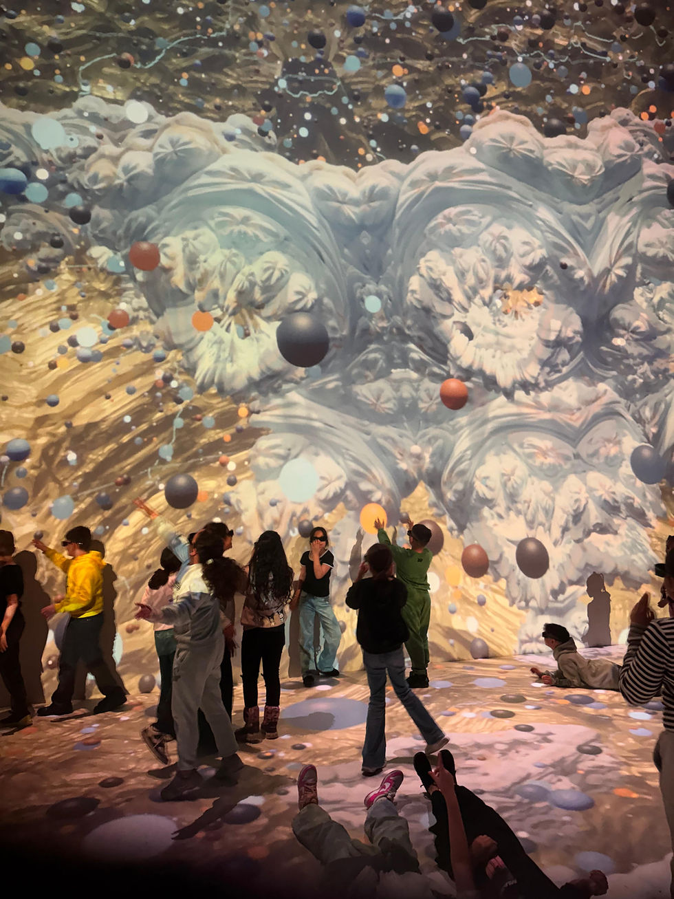 Die 3. Klassen entdecken Linz