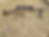 20260520_192857.heic