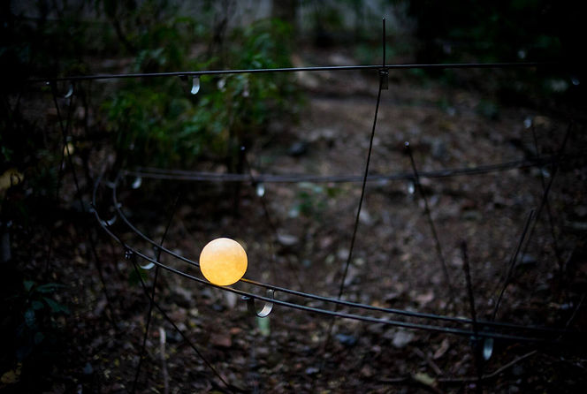 29342505_1556768147755512_62227905711324