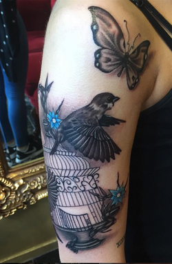 Screen Shot 2017-01-23 at 10.59.21