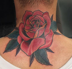 Screen Shot 2017-01-23 at 11.04.18