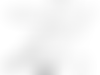 Emigration - My character’s imagined journey from Quebec to New York in 1846.