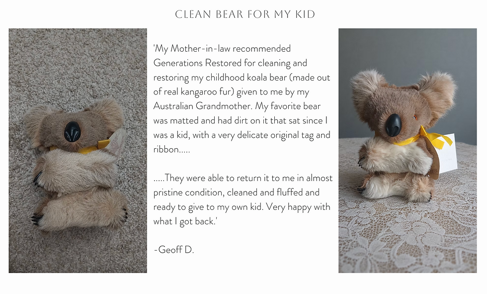 Teddy Bear Cleaning Customer