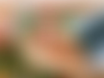 蟹や海老など海産物を贅沢に使用 節分で福を呼び込む 淡路島「青海波」 『青の舎 特製恵方巻』 1/27まで予約受付中!