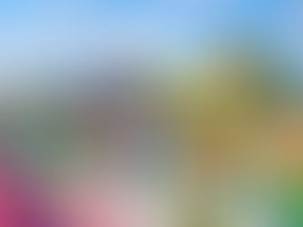 世界初! ゲームでお馴染みの任天堂がテーマ「スーパー・ニンテンドー・ワールド」がユニバーサル・スタジオ・ジャパンに!(大阪府)
