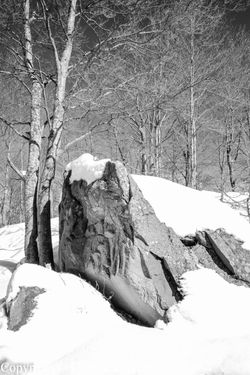 Roccia