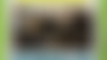 Red de Alumni obtiene el primer lugar en convocatoria regional de Capital Semilla de Junior Achievement Américas 