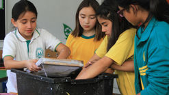 Estudiantes de Las Condes protegen el ambiente con el programa "AEMA"