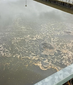 shared image (16).jpg