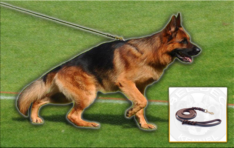 Thumbnail: Leather Leash