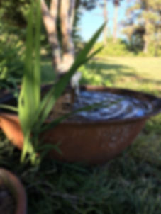 4FT Cast Iron Sugar Kettle