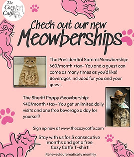 Updated MEOWberships.jpeg