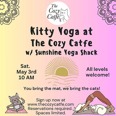 Yoga with kitties May.jpeg