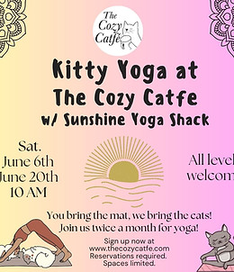 Yoga with kitties June.jpeg