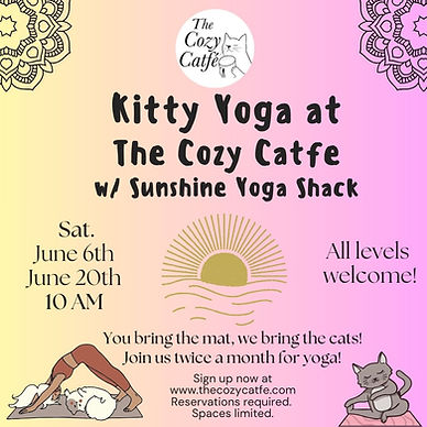 Yoga with kitties June.jpeg