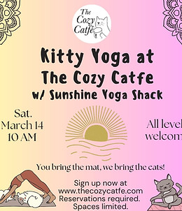 Yoga with kitties March.jpeg