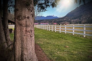 IMG_7577_edited.jpg