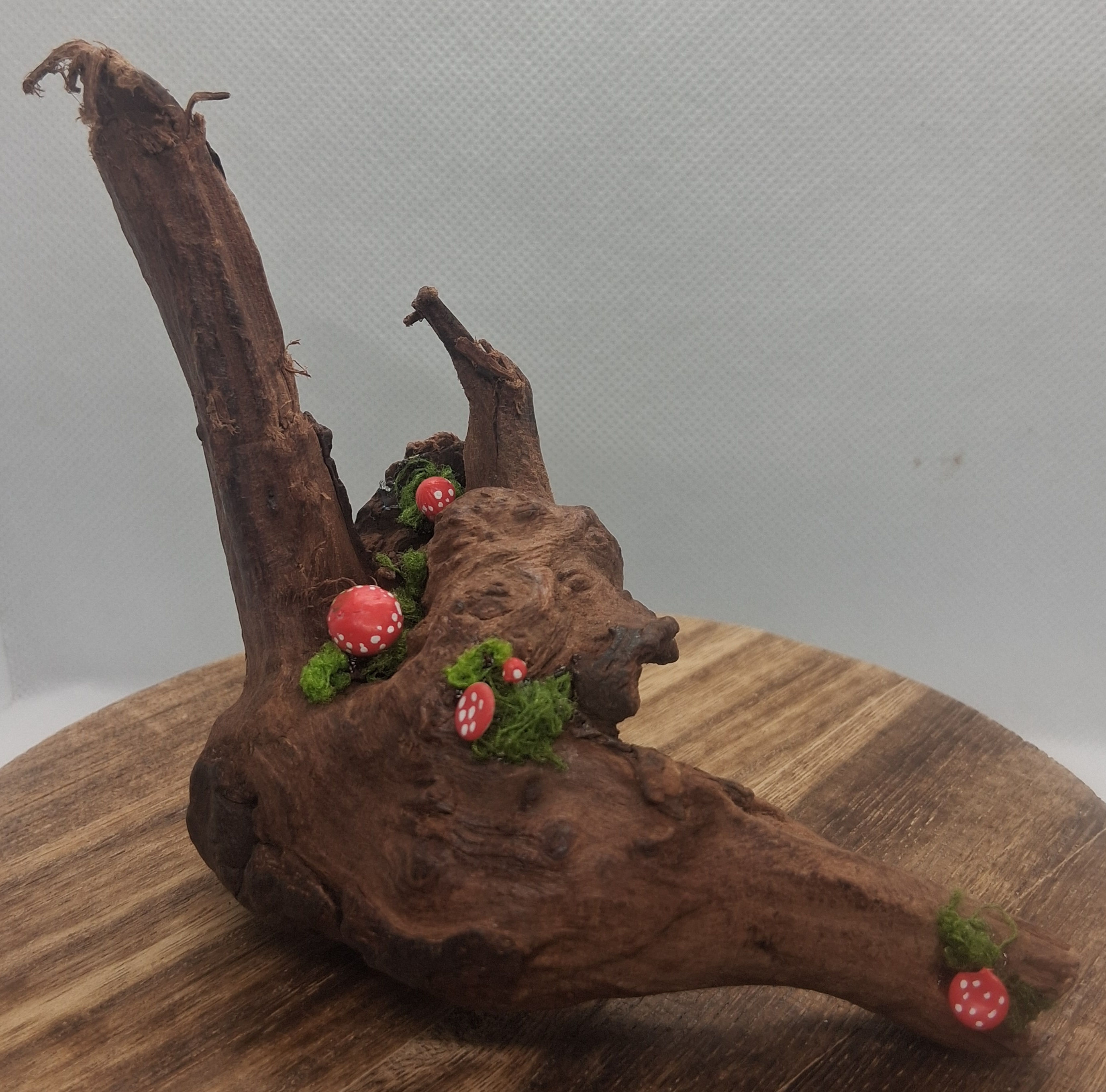 Large driftwood #5