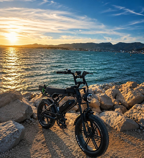 V20PRO