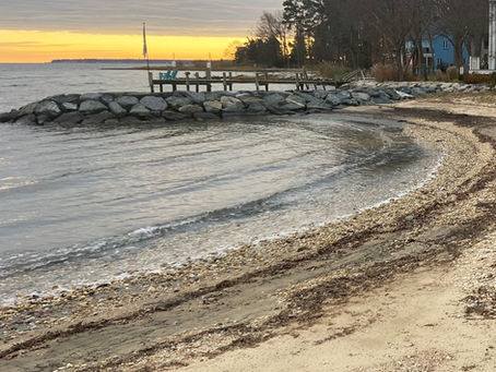 The Living Shoreline Project