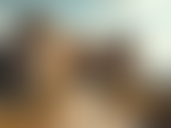 3 Lições Estoicas que Transformaram Meu Valor Pessoal e Minha Vida