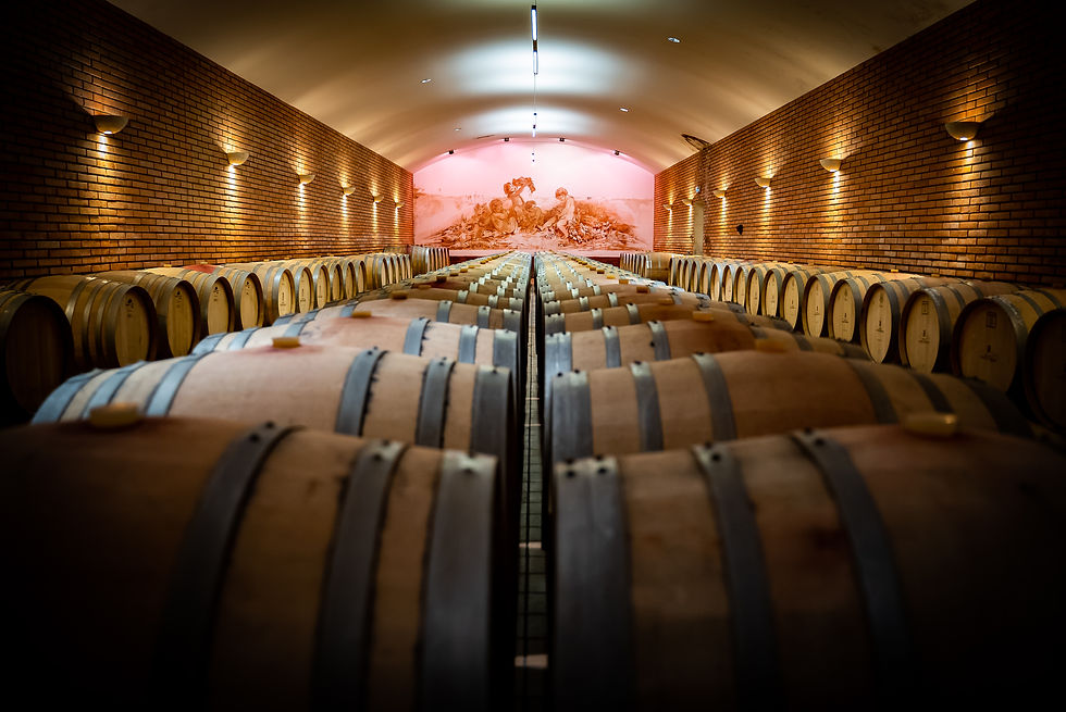 Domaine Comte Peraldi - Cave