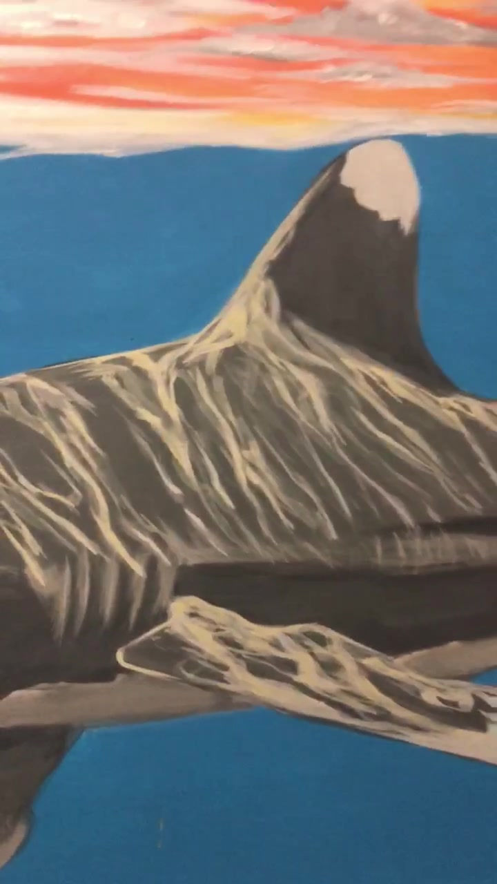Thumbnail: Oceanic Whitetip Shark