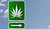 legal%20page_edited.jpg