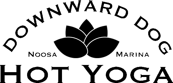 Noosa Yoga Downward Dog Hot Yoga Noosa Marina Tewantin