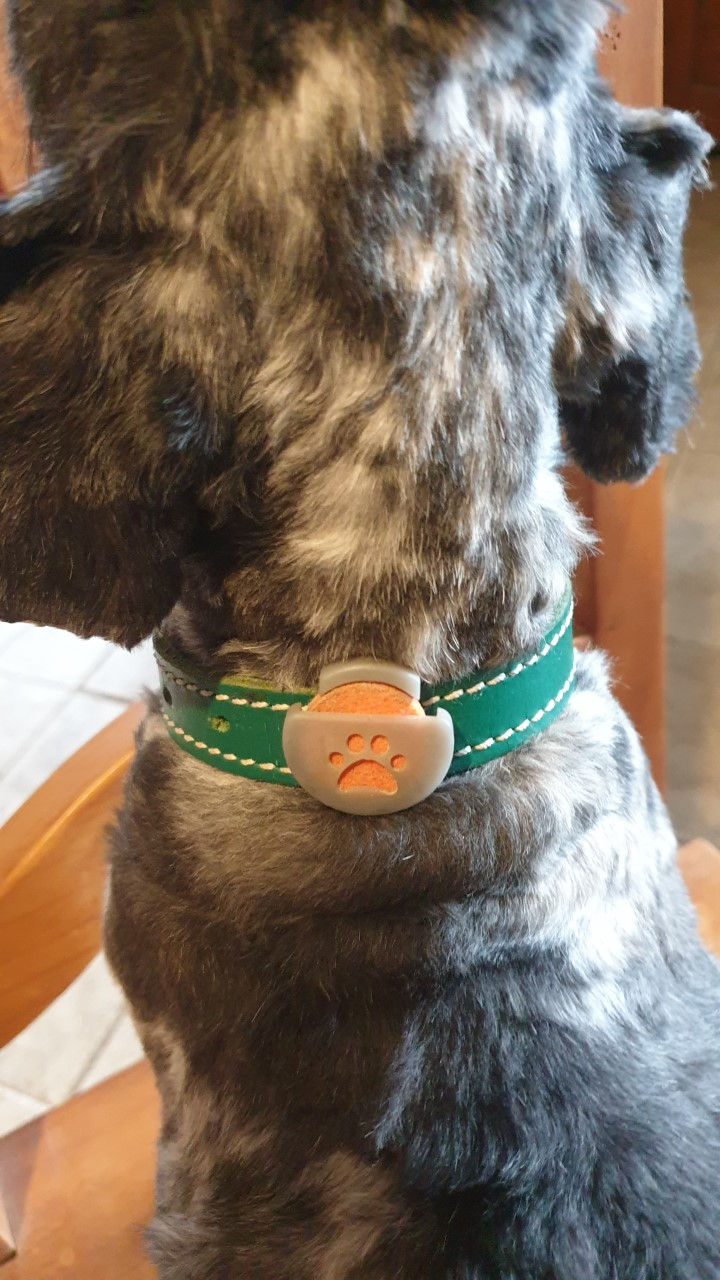 Miniature : Coffret Anima-Zen