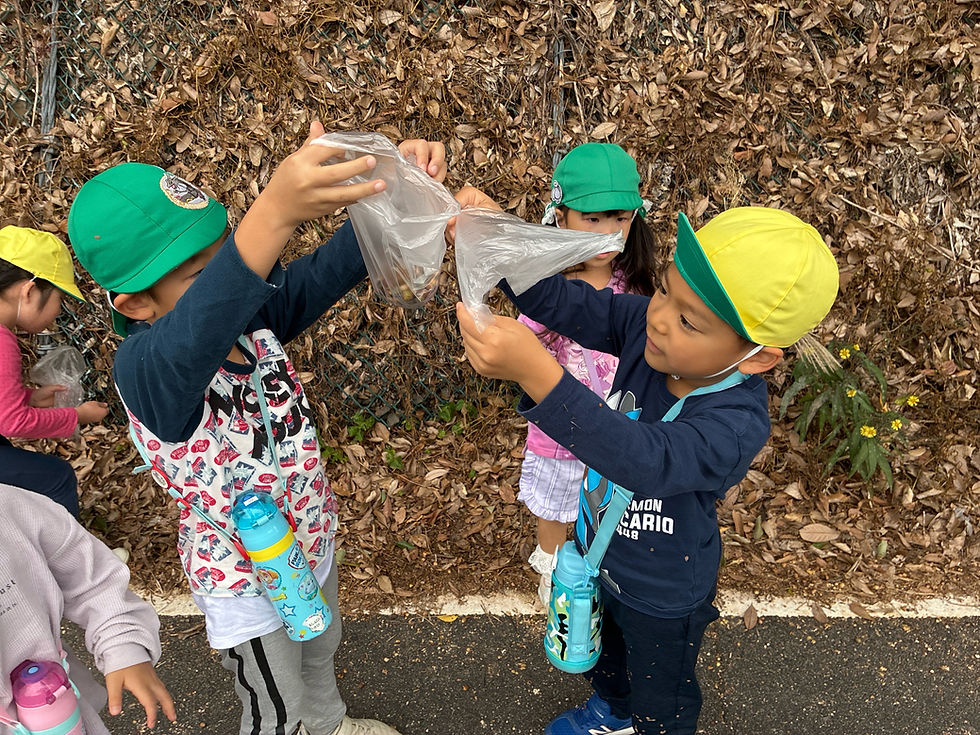 どんぐりもたくさん拾ったよ