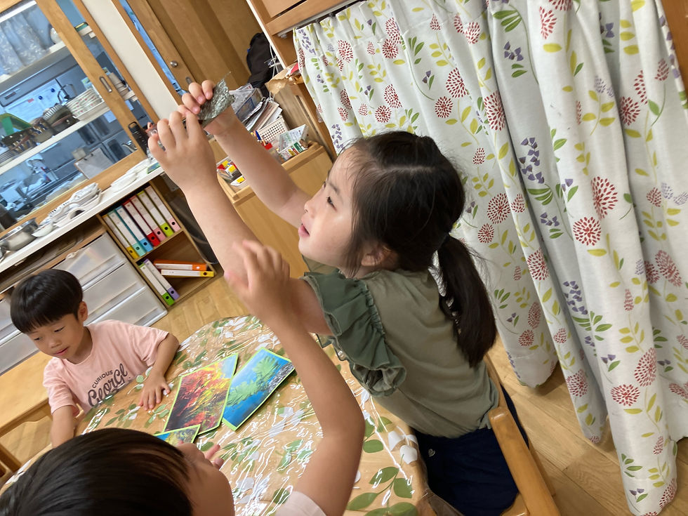 海苔を透かしてみて見たら「みどりいろだー。」と発見。