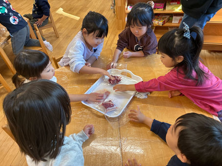 食育（鶏肉・豚肉・牛肉の違いを知る）
