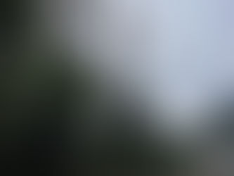 施工事例（特殊伐採工事）