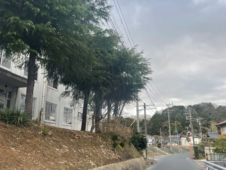 施工事例（障害木伐採工事）