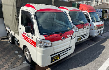 image5.jpeg