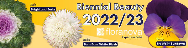 Floral Daily Banner (May 2022).jpg