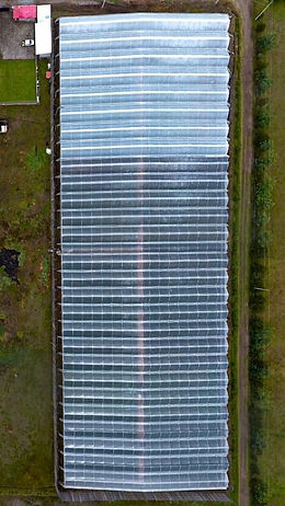 La nostra serra vista dall'alto