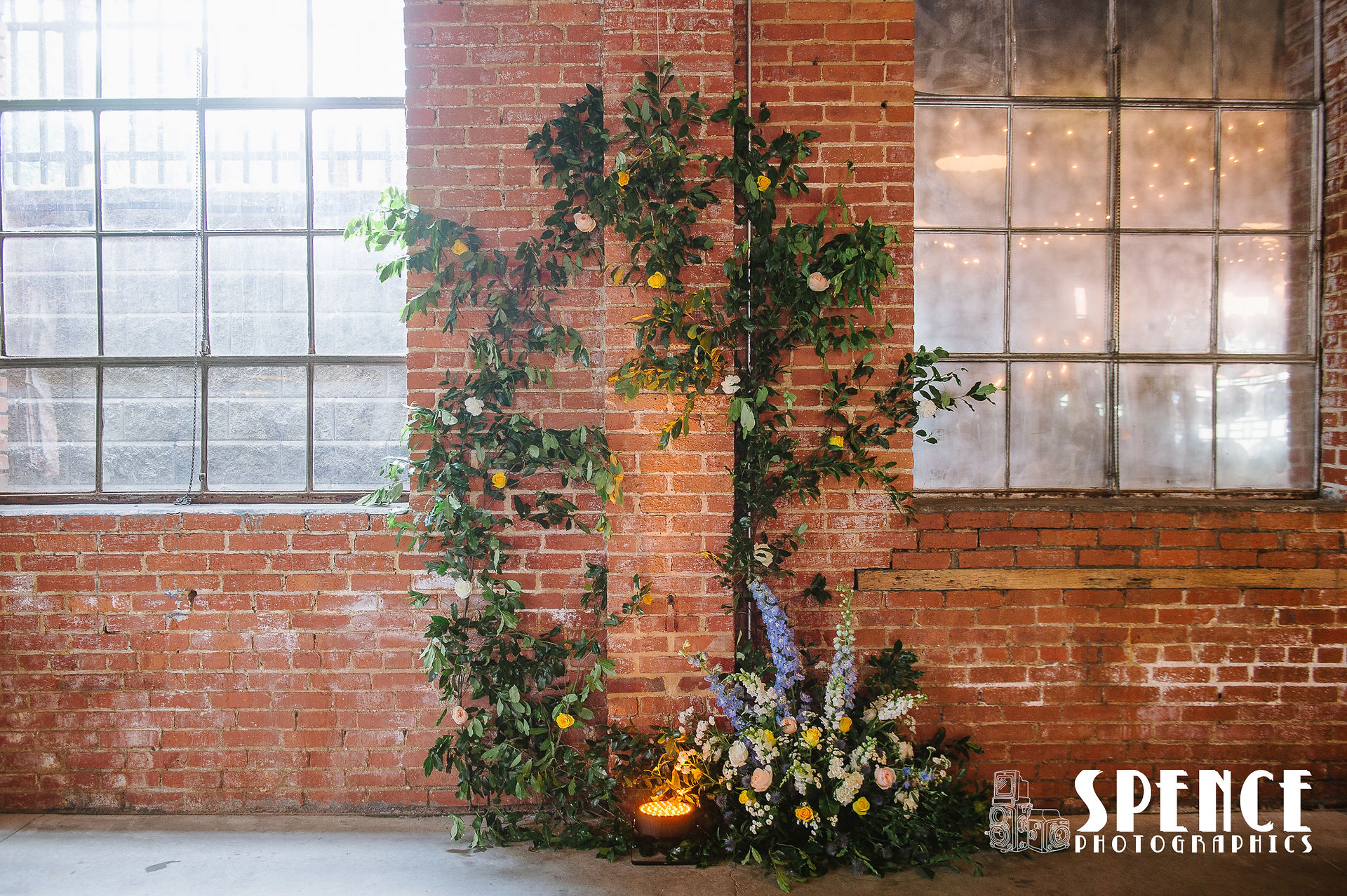 Greenery on a brick wall