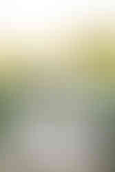 Bride posing in front of the ceremony arch at the pond.