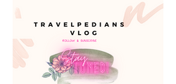 VLOG CONTENTS